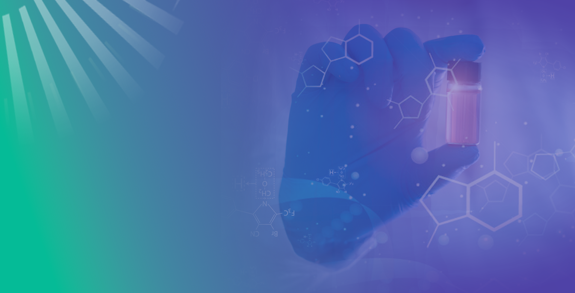 AAV Plasmid Solution